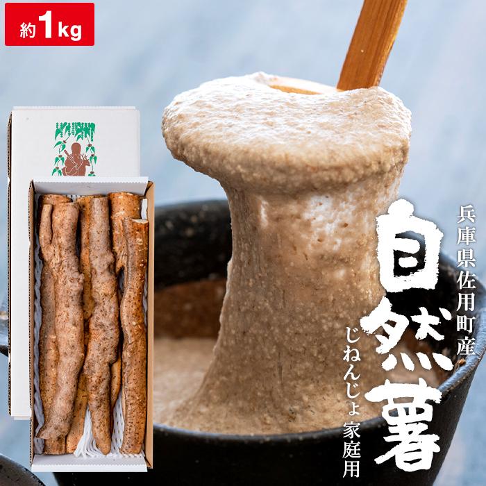 12/3 掘り立て 天然自然薯2キロ 鹿児島産 野生の滋味