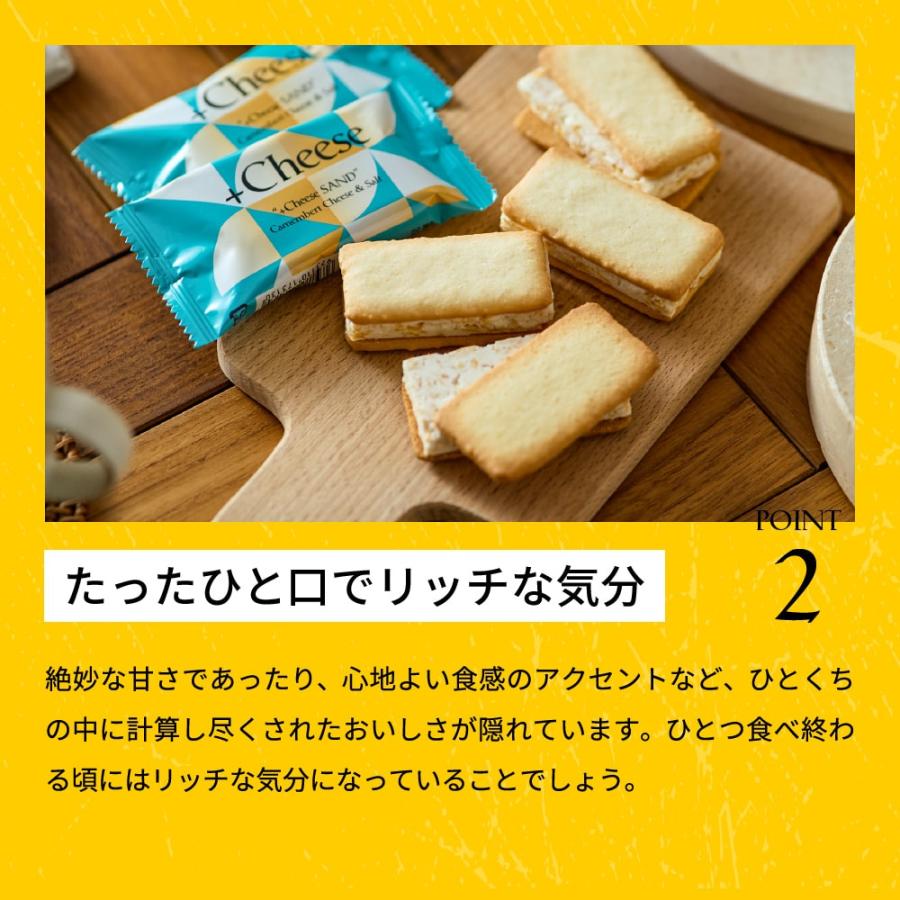 父の日 ギフト スイーツ +Cheese プラスチーズ 6個 それはおいしい方程式！（包装済、のしは外のし）  / お菓子 ギフト 寿製菓 個包装 手土産 内祝い お中元｜somurie｜06