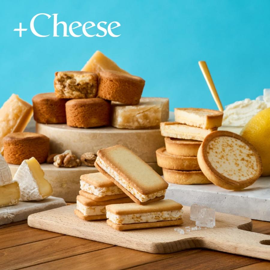 お菓子 スイーツ +Cheese プラスチーズ 16個 それはおいしい お菓子 スイーツ +Cheese プラスチーズ 16個 それはおいしい