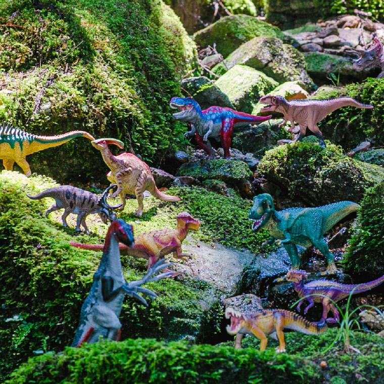 シュライヒ Schleich 15024 パキケファロサウルス Dinosaurs 恐竜 リアル 手塗り 知育玩具 インテリア 教育 おしゃれ おすすめ ジュラシック 遅れてごめんね｜somurie｜04