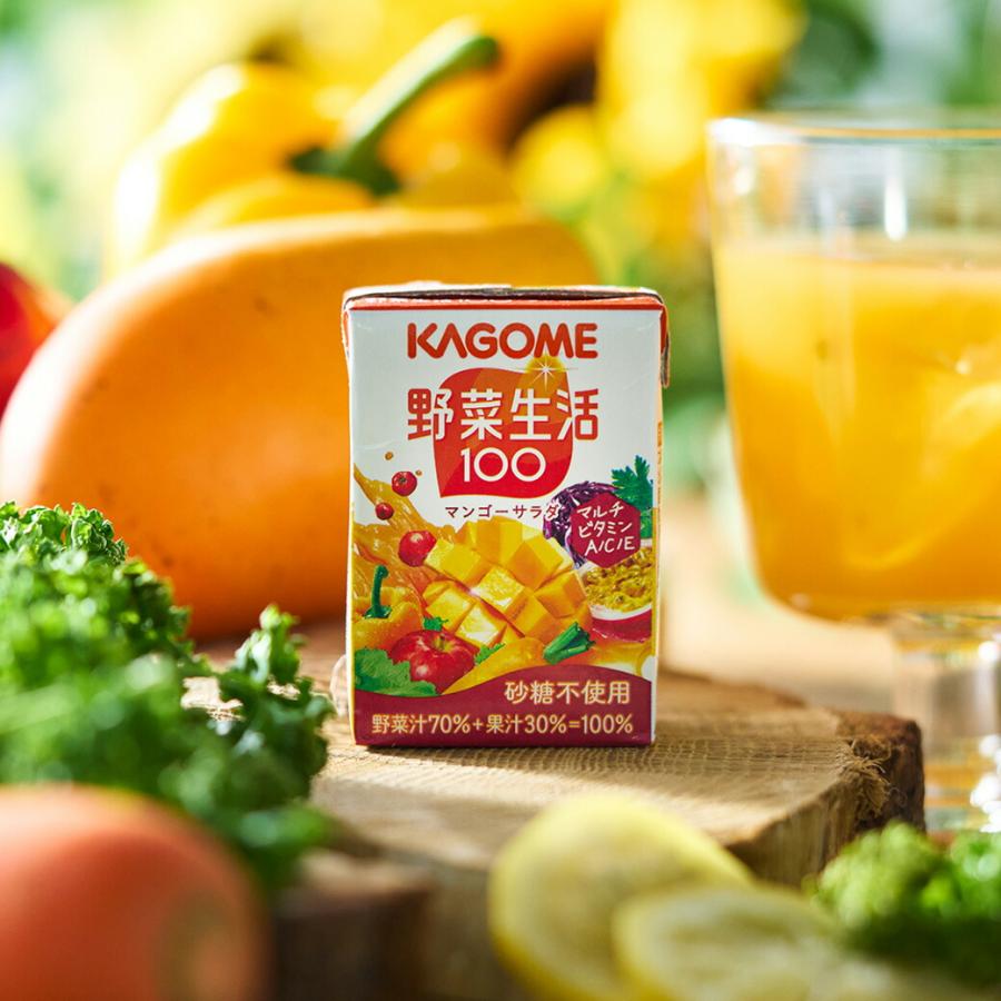 KAGOME（カゴメ） お中元 ギフト 小容量 野菜飲料ギフト(27本) SYJ-25G