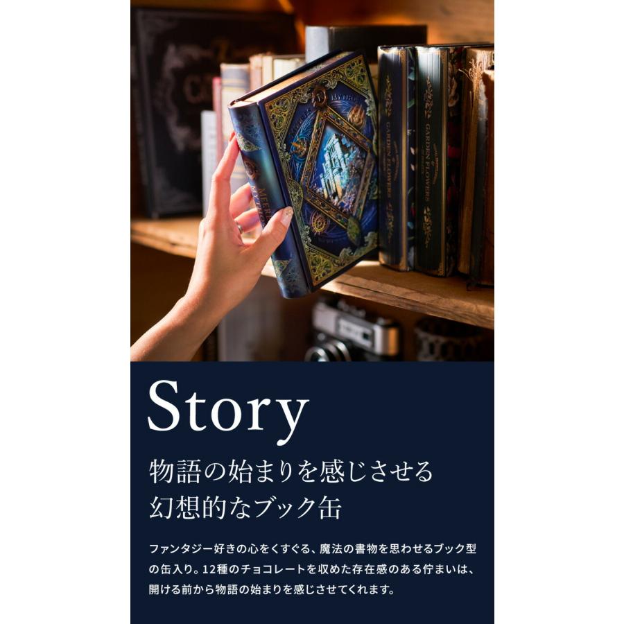 高島屋 法人事業部 セレクト メリーチョコレート ナハトラビュリント