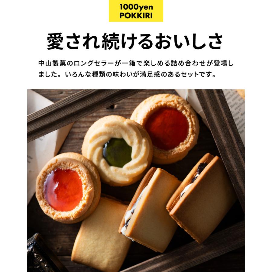 1000円ポッキリ 送料無料 中山製菓 ロシアケーキ＆レーズンサンド
