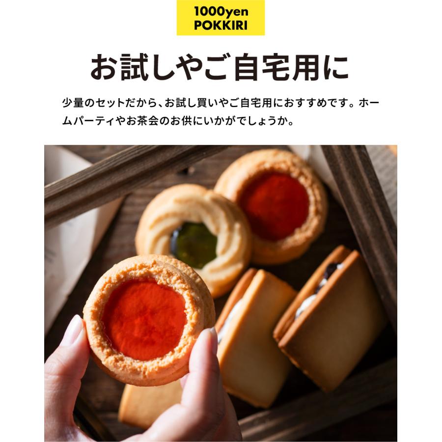 1000円ポッキリ 送料無料 中山製菓 ロシアケーキ＆レーズンサンド