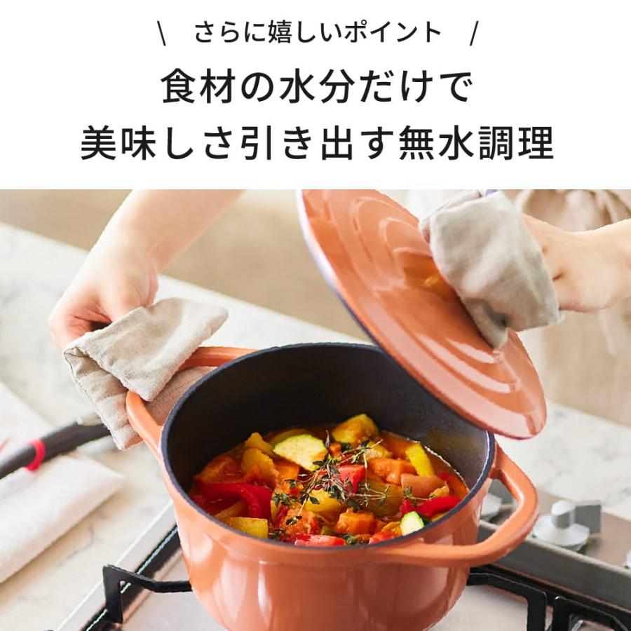 T-fal ティファール キャストライン エアココット IHココット鍋 T-fal ティファール キャストライン エアココット IHココット鍋