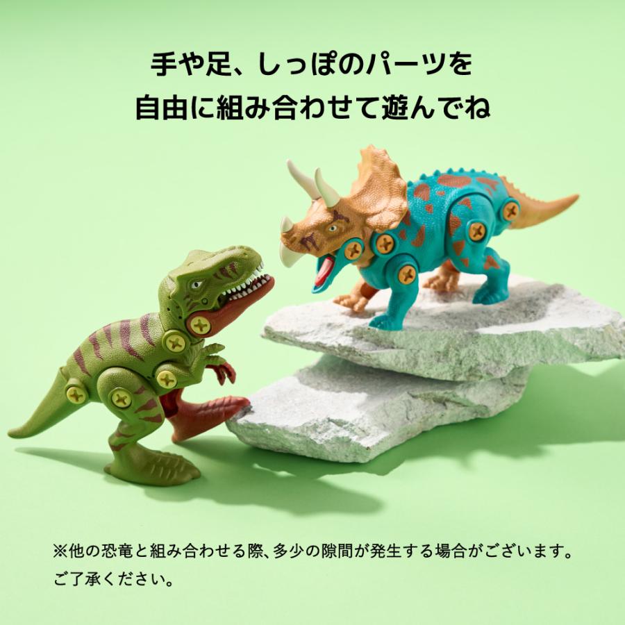 F.O.TOYBOX  DIY TOY DINOS / 恐竜 組み立て 知育 玩具 おもちゃ 男の子のおもちゃ スティラコサウルス ディロフォサウルス ティラノサウルス トリケラトプス｜somurie｜19