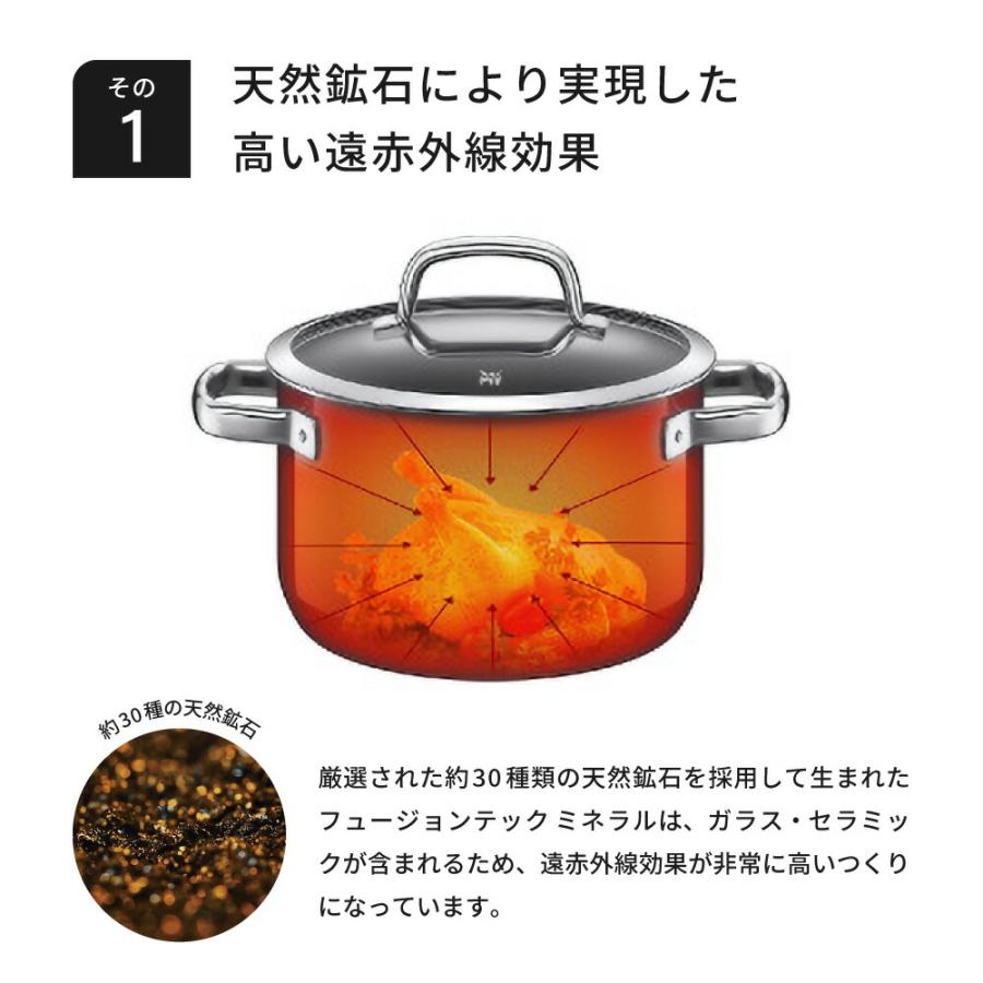 15 WMF フュージョンテック ミネラル マルチポット 14cm 赤 (新品