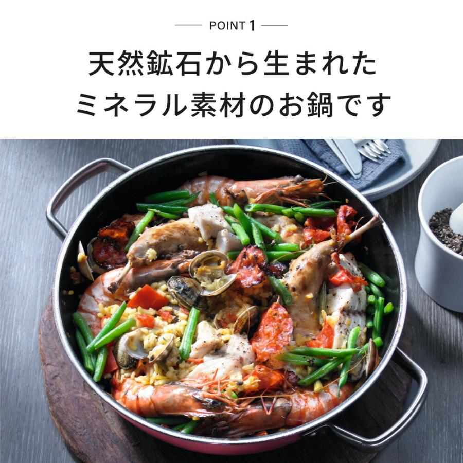 WMF フュージョンテック ミネラル ロースター 24cm PL RQ BL WMF フュージョンテック ミネラル ロースター 24cm PL RQ BL