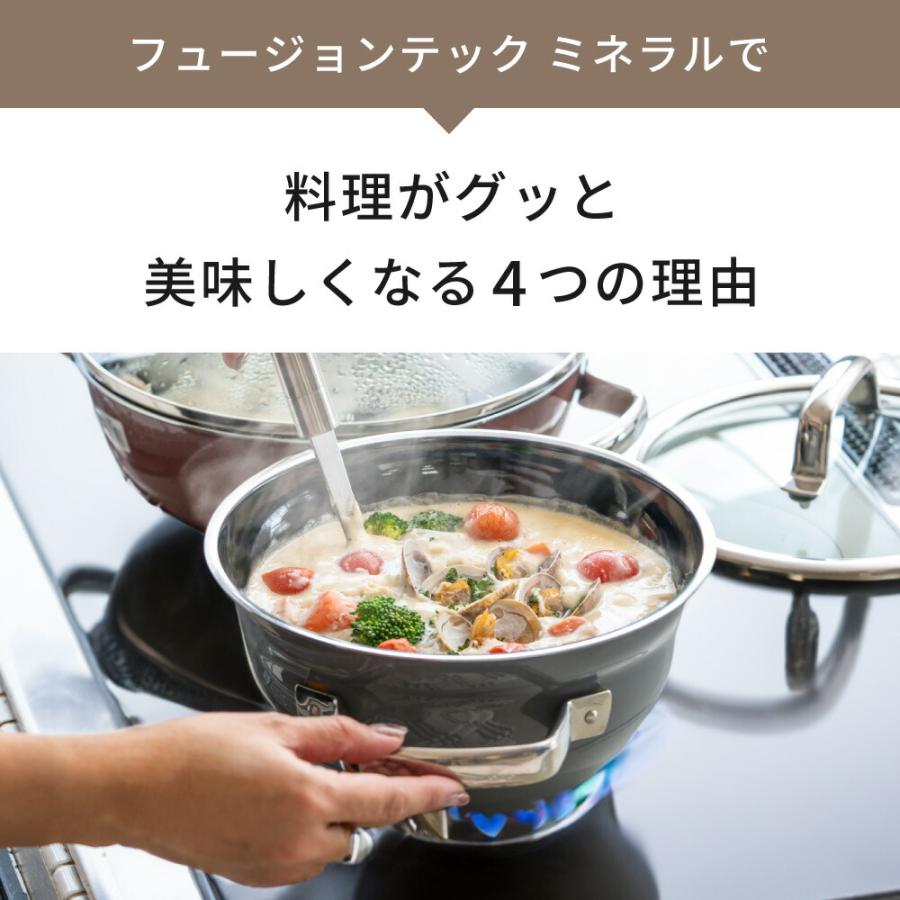 WMF（ヴェーエムエフ） フュージョンテック ミネラル ライスポット