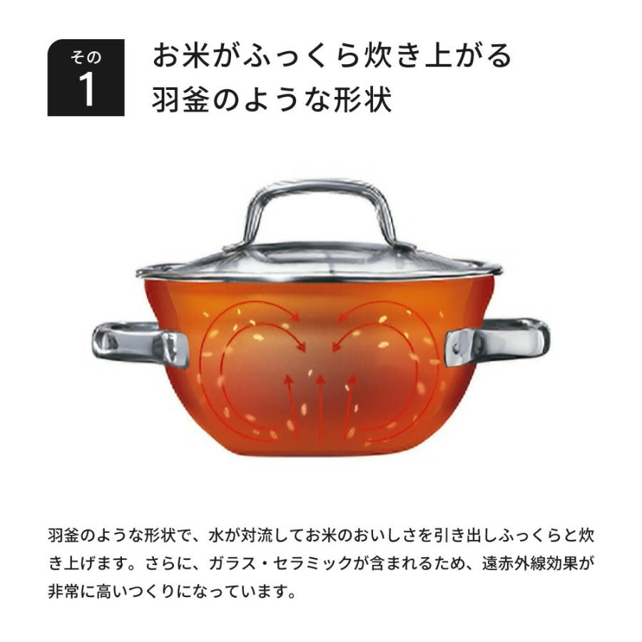 WMF（ヴェーエムエフ） フュージョンテック ミネラル ライスポット