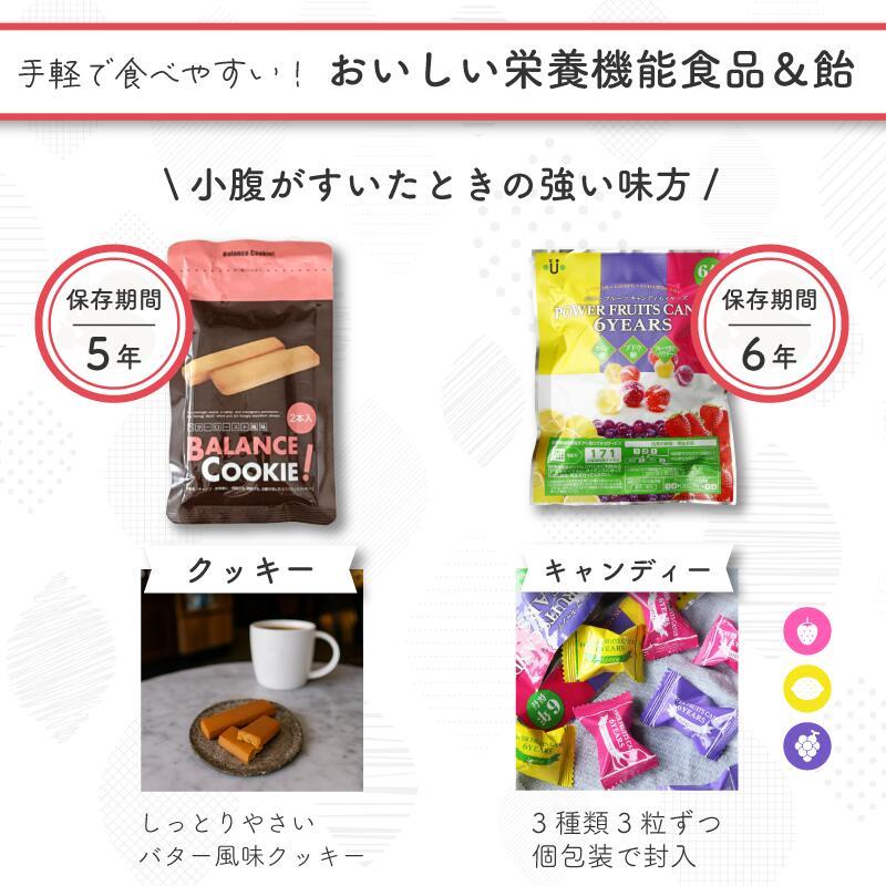 【食器セット付】非常食セット 非常食 保存食 防災食 アルファ米 パン 保存食セット 7日分 2人用 37種 54品  大満足セット 防災 食品 防災グッズ |  | 12
