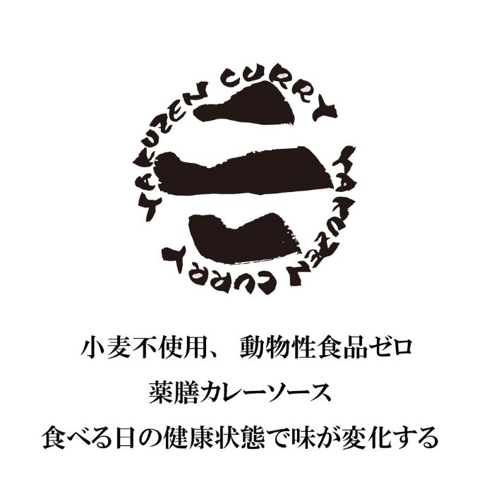 三善薬膳カレーソース3種セット 竹炭・ターメリック・パプリカ 高麗人参パウダー付 ながの社長のカレー |  | 04