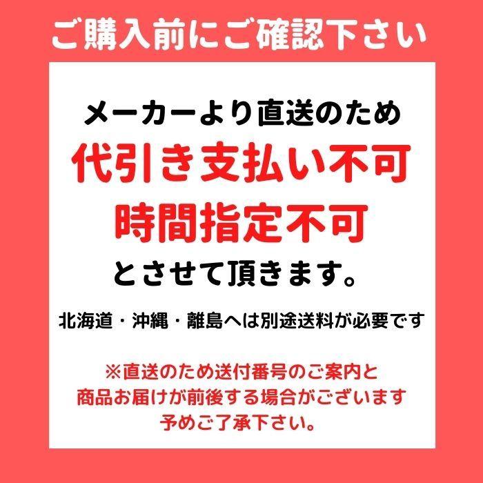 ◆次回製造確定後　販売再開します◆　火災抑制剤放射器 クイックスプラッシャー  日本ドライケミカル |  | 04