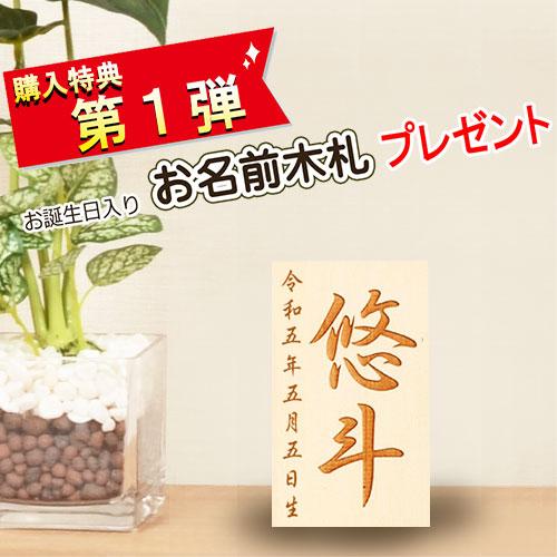 No.504-114 五月人形 5号 兜飾り 織田信長 ちりめん鯉のぼり飾り｜soneningyo｜09