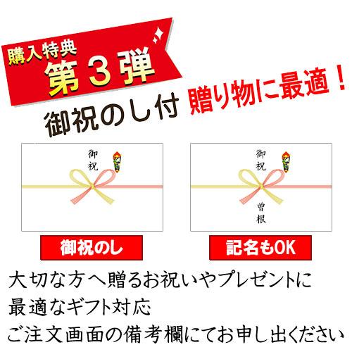 雛人形 ひな人形 お雛様 おひなさま コンパクト 平飾り おしゃれ 親王飾り 小芥子サイズ 段織 春の月｜soneningyo｜16