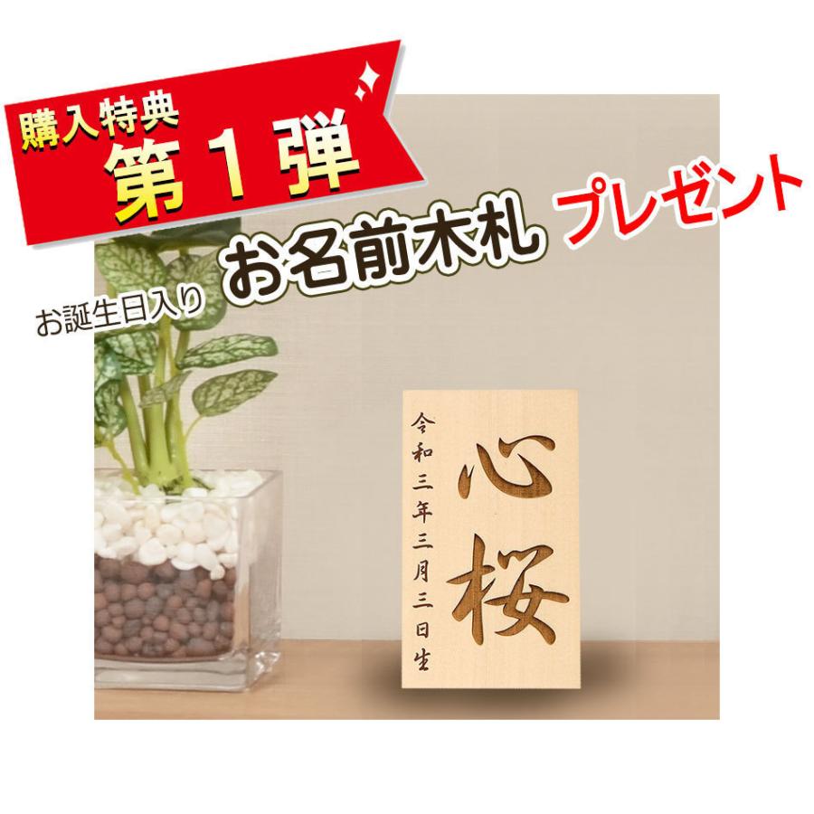 【限定追加】 雛人形 コンパクト おしゃれ ひな人形 ケース飾り 恋するピンク 【いろは】 小三五サイズ 可愛い ピンク アクリル 初節句 桃の節句 ケース入り｜soneningyo｜12