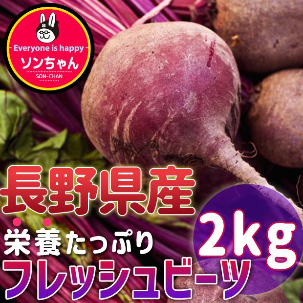 現地直送 【ご自宅用】Fresh Beet初夏収穫のスーパーフード「ビーツ」 訳ありビーツ 2kg(約7玉〜9玉) お客様に もっと安く販売するため発送方法選択 :beet-02:ソンちゃん - 通販 - Yahoo!ショッピング 現地直送 【ご自宅用】Fresh Beet初夏収穫のスーパーフード「ビーツ」 訳ありビーツ 2kg(約7玉〜9玉) お客様に もっと安く販売するため発送方法選択 :beet-02:ソンちゃん - 通販 - Yahoo!ショッピング