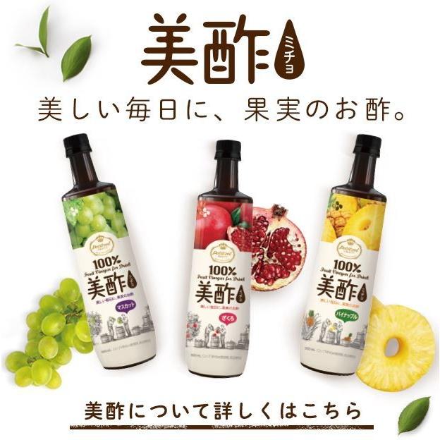 女性のキレイを応援 美酢 ミチョ 900ml X 2本 Tv Cmで話題沸騰 Micho2 01 ソンちゃん 通販 Yahoo ショッピング