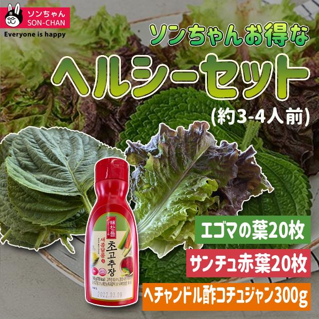 ヘチャンドル酢コチュジャン 300g チューブ エゴマの葉枚 サンチュ赤葉枚 お刺身 酢 チョ コチュジャンお刺身野菜セット 発送方法選択 Sanchu 04 ソンちゃん 通販 Yahoo ショッピング