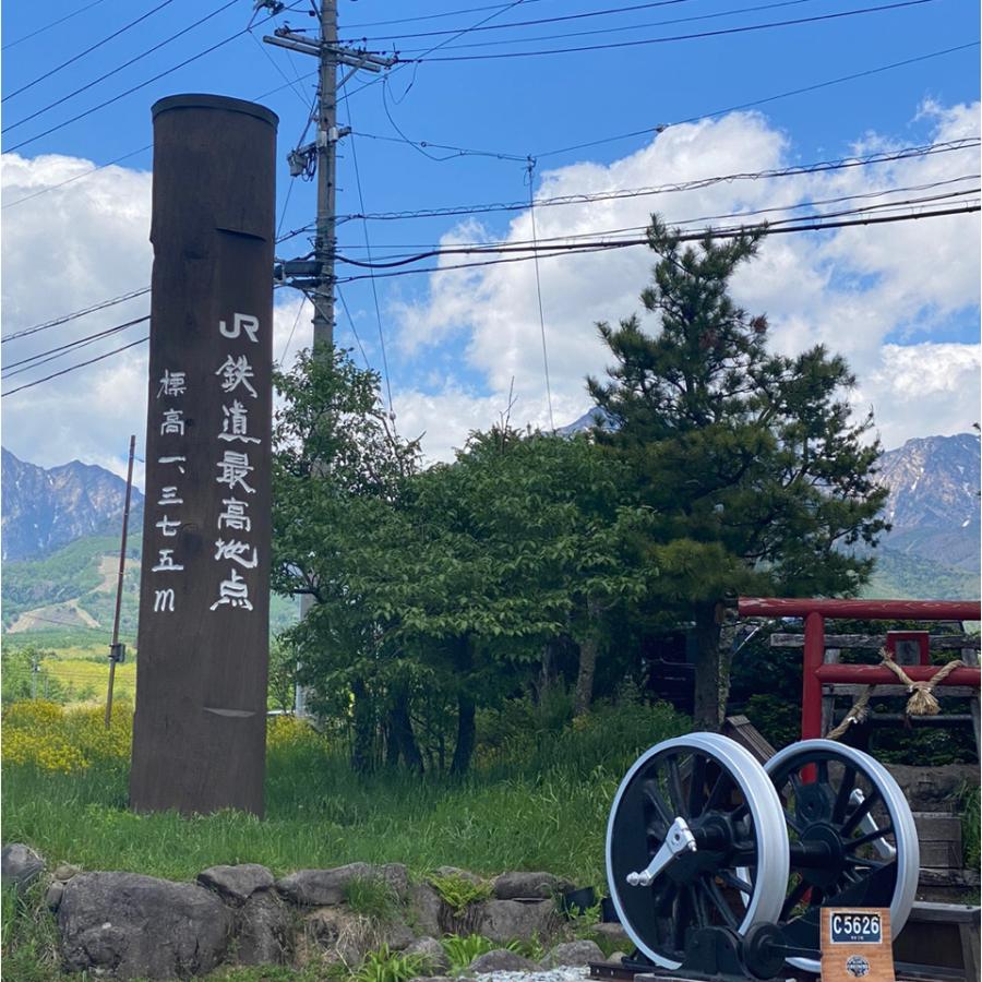 山梨県八ヶ岳の湧き水でサンチュを育てる農家さんとコラボ新鮮 サンチュ 10枚 X 1束 冷蔵食品 野菜 焼肉 豚バラ Sanchu 14 ソンちゃん 通販 Yahoo ショッピング