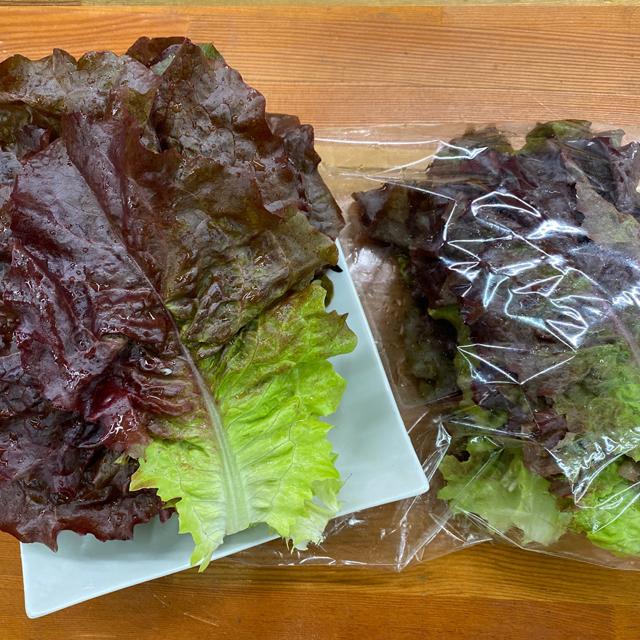 山梨県産 現地直送 サンチュ 40枚セット 約300g サンチュの赤葉種 サニーレタス冷蔵発送 Sonet9006 004 ソンちゃん 通販 Yahoo ショッピング
