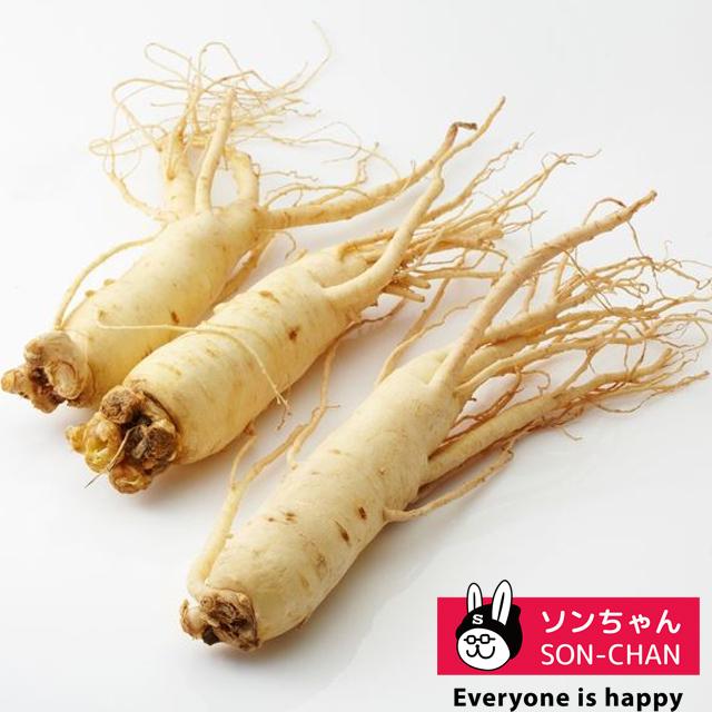 韓国産高麗生人参 1g 7 13本 水参 韓国産 高麗人参 韓国食品 韓国料理 野菜 レタス 生 りんご 元気 桃 即納送料無料 なつめ