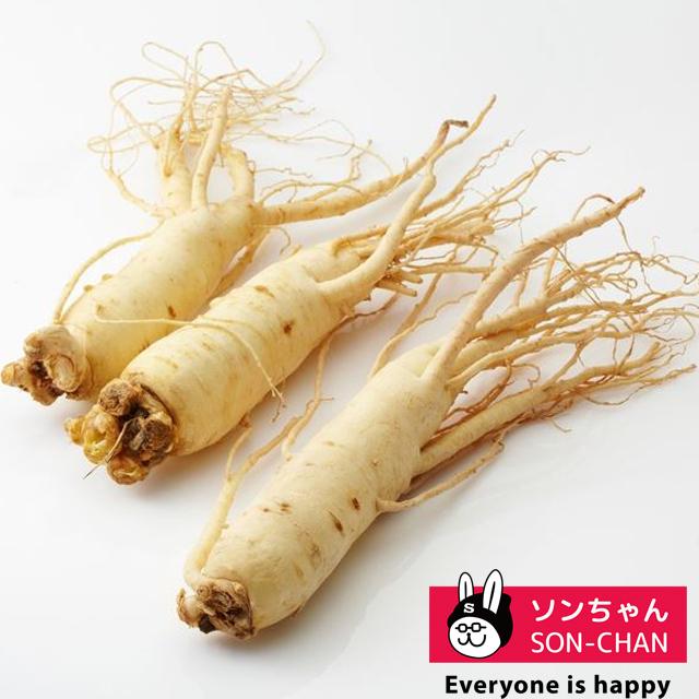 ご予約品 韓国産高麗生人参 50g 約 2 4本 水参 韓国産 高麗人参 韓国食品 韓国料理 生 レタス 野菜 桃 元気 りんご なつめ Wantannas Go Id