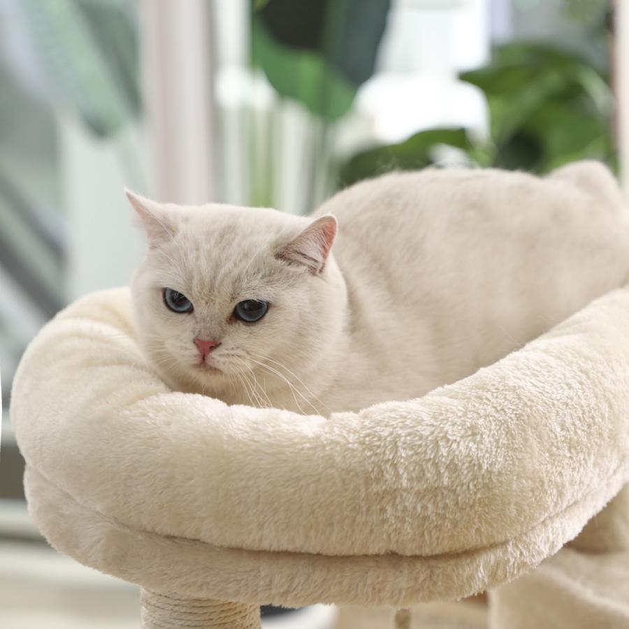 Feandrea キャットタワー スロープ付き 登り降りしやすい 爪とぎ 猫タワー 子猫とシニアも楽々 95cm Npct40m Npct40m Songmics Jp 通販 Yahoo ショッピング