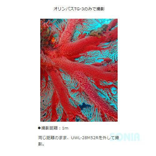 fisheye（フィッシュアイ） 21063 FIX フィッシュアイコンバージョン