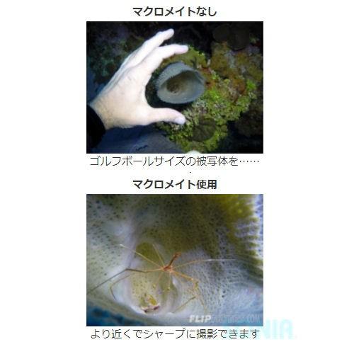 fisheye(フィッシュアイ) 20656 Gopro マクロメイト : ソニア fisheye(フィッシュアイ) 20656 Gopro マクロメイト : ソニア