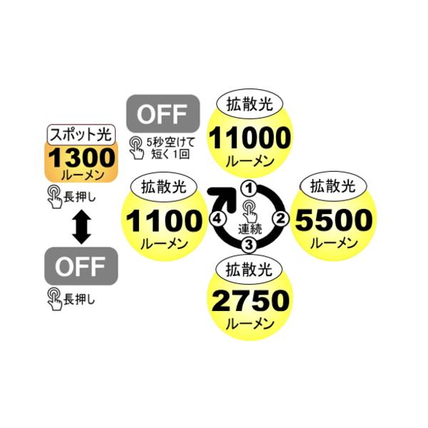 bigblue（ビッグブルー） VTL-11000P LEDライト 水中ライト_1
