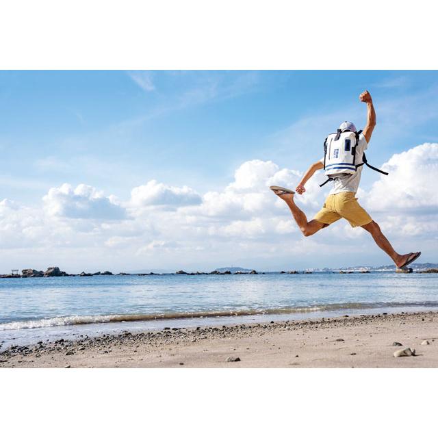 Stream Trail（ストリームトレイル） ドライタンク 25L ストライプ バックパック DRY TANK 25L STRIPEの画像