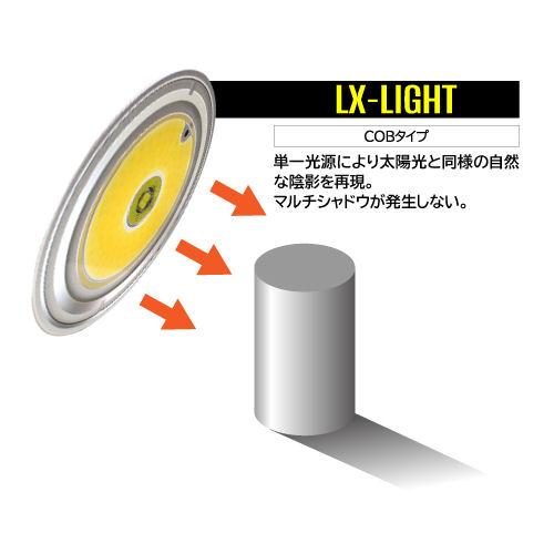SEA＆SEA SEA＆SEA（シーアンドシー） 09132/09133 LX-2400SW FS 水中