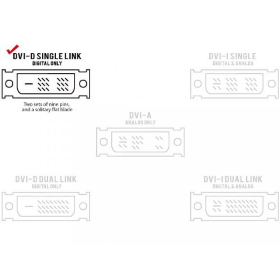 プロジェクター Cmple - HDMI to DVI Cable Gold Digital HDTV Male to Male｜sonicmarin｜02
