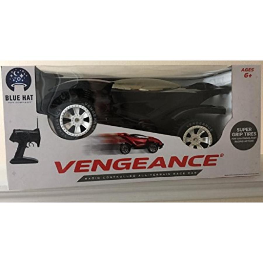 電子おもちゃ Vengeance Radio Controlled All-terrain Race Car Black 49 mhz｜sonicmarin