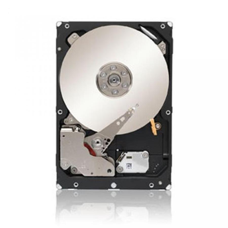 ビンテージ データストレージ Seagate 1TB Enterprise Capacity HDD SATA 6Gbs 128MB Cache 3.5-Inch Internal Bare Drive (ST1000NM0033)