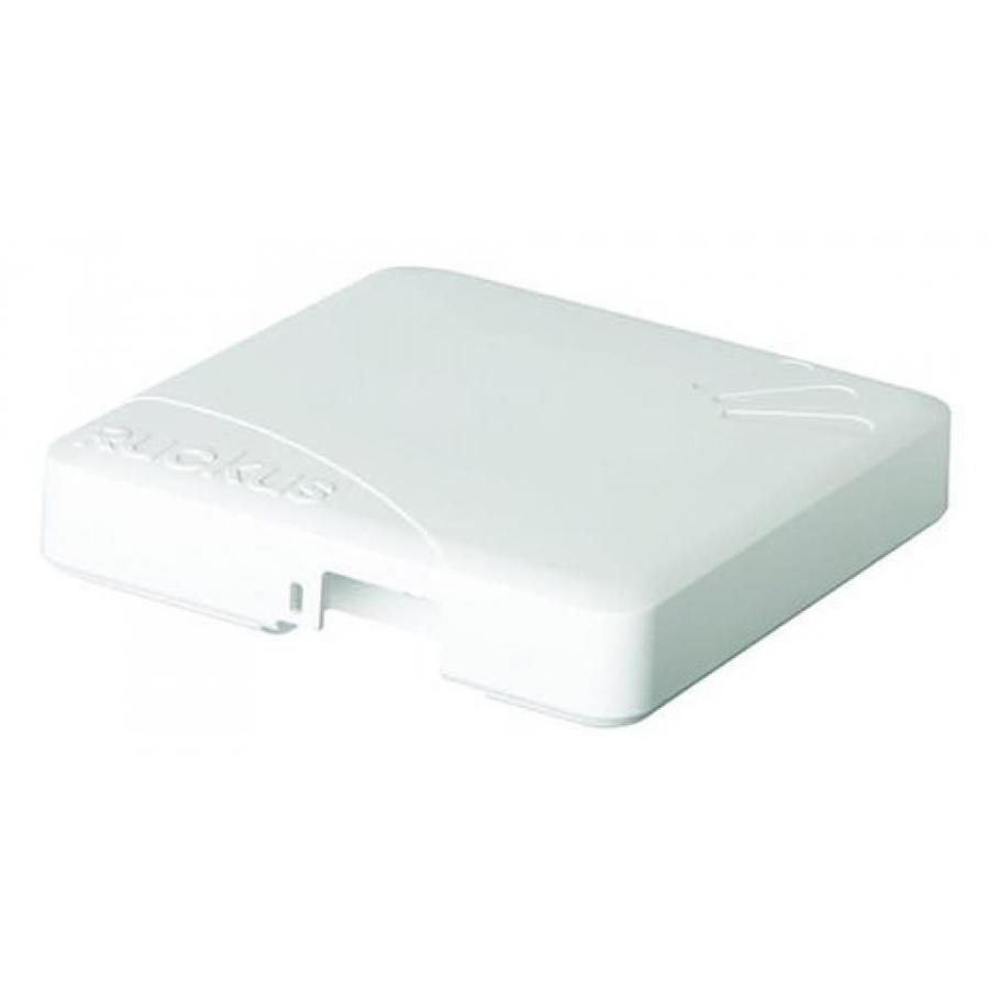 専用品 Ruckus Wireless Access Point ZoneFlex Zoneflex R500 com: | R550
