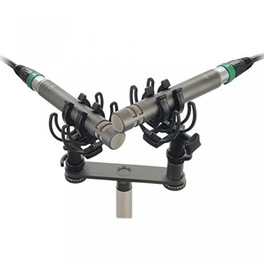 ホームシアター Gefell M300 Stereo Set - VK Edition