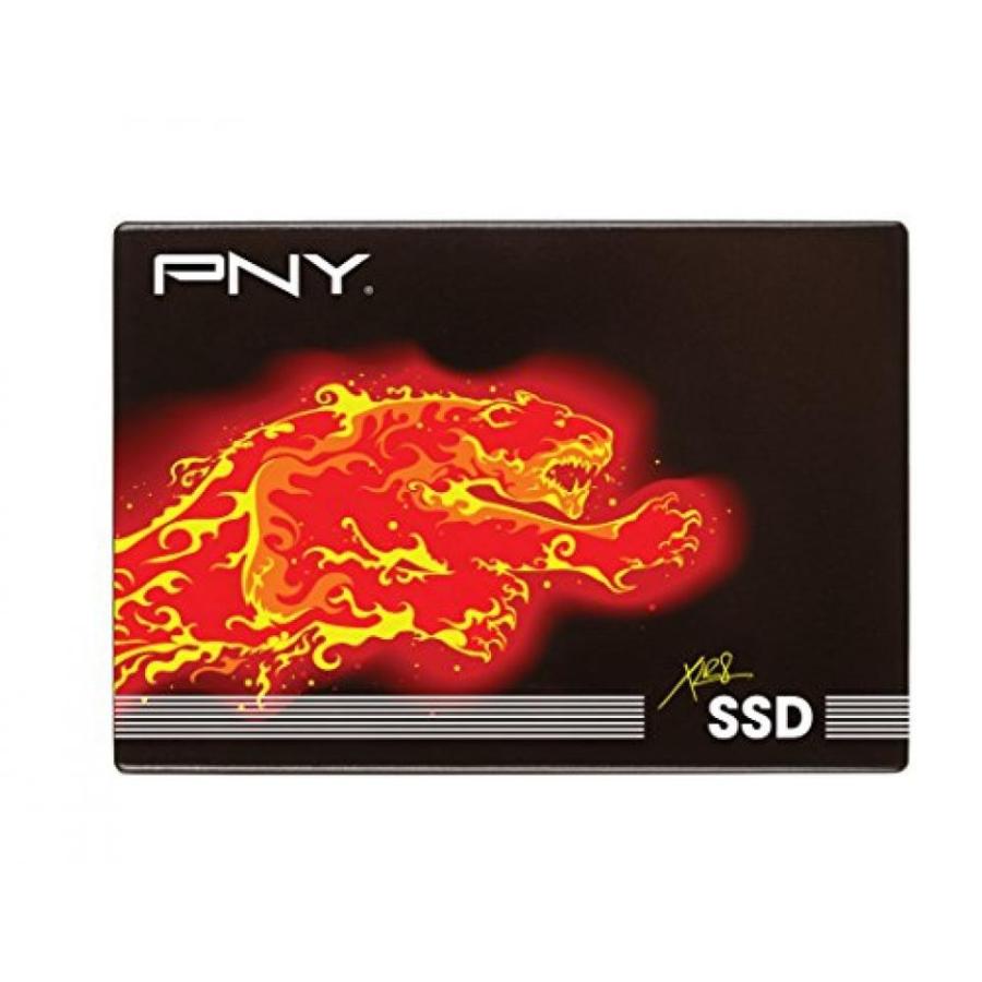 データストレージ PNY Client SSD Internal Memory