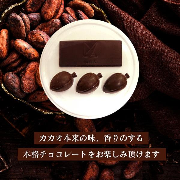 手作りチョコレート カカオ豆から手作りキット｜sonique｜03