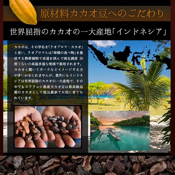 手作りチョコレート カカオ豆から手作りキット｜sonique｜04