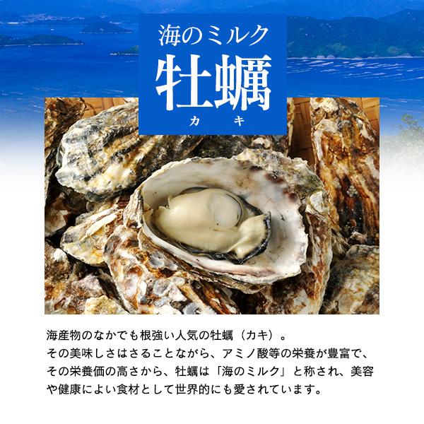 特選粉末】牡蠣エキスパウダー 30g 〜瀬戸内海産 むき身生牡蠣 特選粉末】牡蠣エキスパウダー 30g 〜瀬戸内海産 むき身生牡蠣