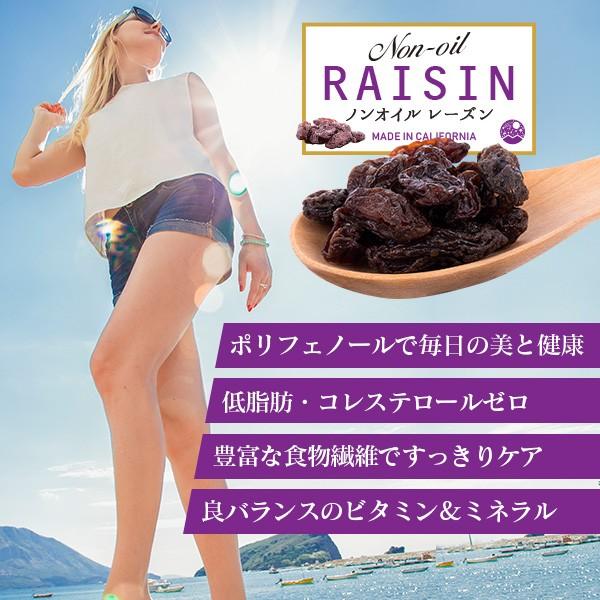 ノンオイルカリフォルニアレーズン 500g (無添加 干しぶどう ドライ