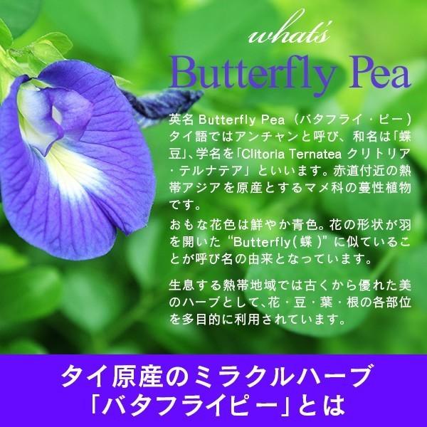 楽ギフ 包装 バタフライピー 青いお茶 ハーブティー ティーバッグタイプ 2g 8個入り Aynaelda Com