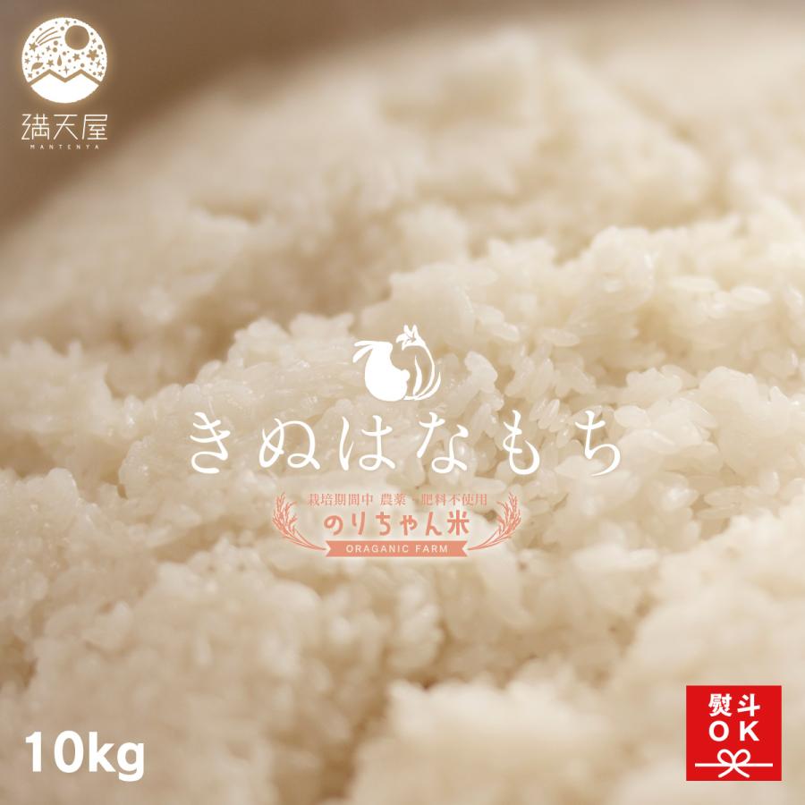 足利産】のりちゃん米 もち米 (きぬはなもち) 10kg 令和7年産 ＜栽培
