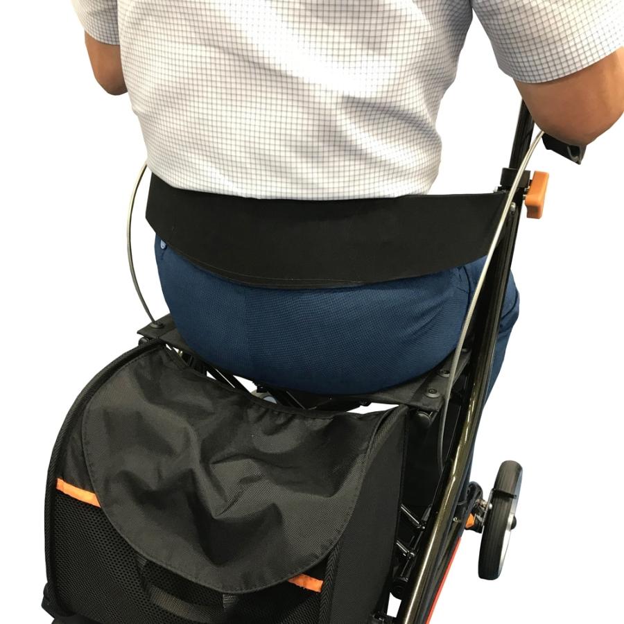 インタージェット AIJ ストリーム オービー 歩行車 : SONOSAKI LIFE