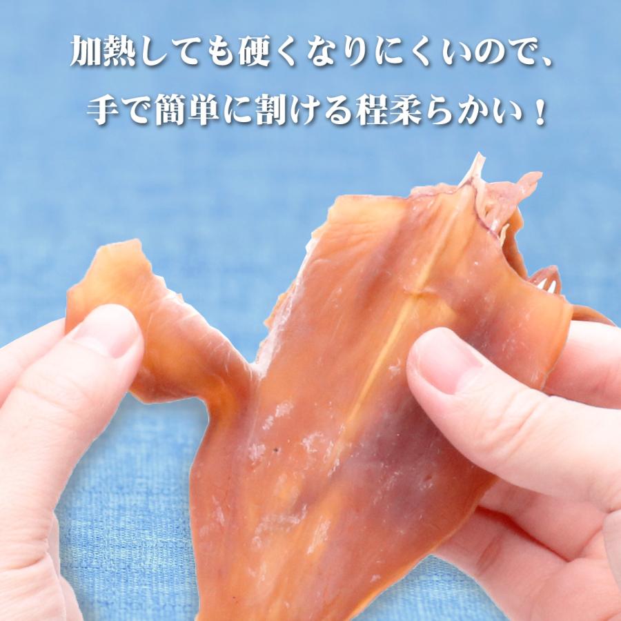 1,000円ぽっきり！更にまとめ買いクーポンも！【無添加】剣先いか