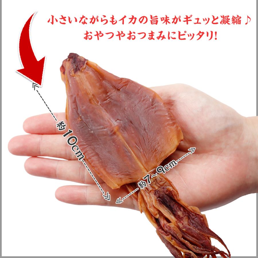 1,000円ぽっきり！更にまとめ買いクーポンも！【無添加】剣先いか