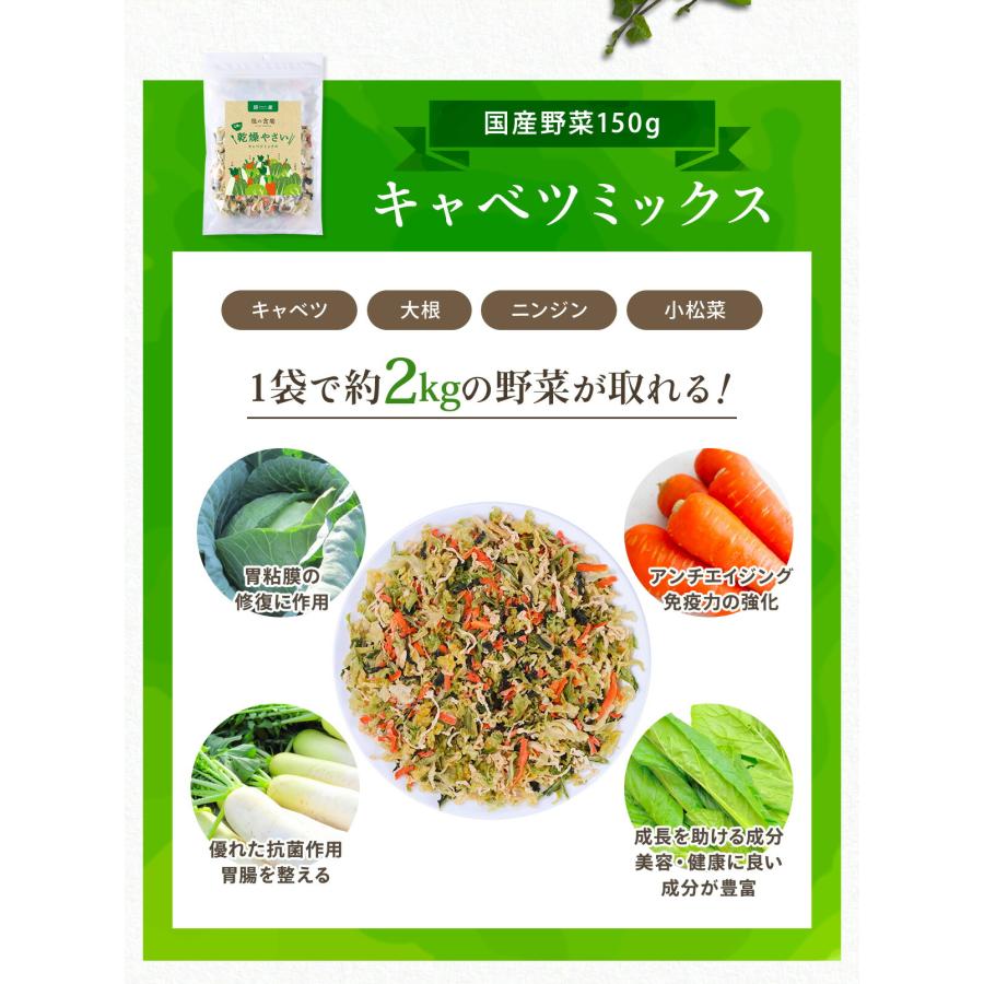 甲羅組 国産 乾燥 カット 野菜 ミックス 3種から選べる キャベツ 白菜
