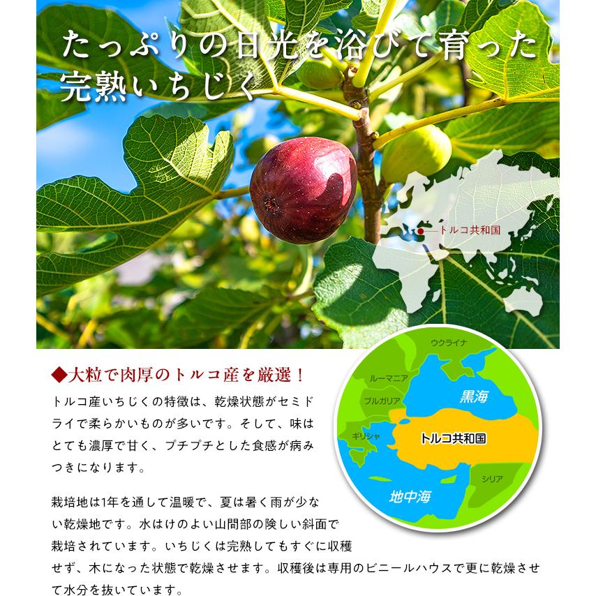 無添加 砂糖不使用 完熟 ドライいちじく 400g イチジク 無花果 フィグ fig｜sonoshokuan｜02